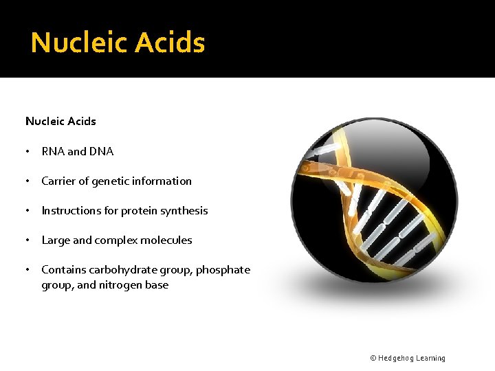 Nucleic Acids • RNA and DNA • Carrier of genetic information • Instructions for