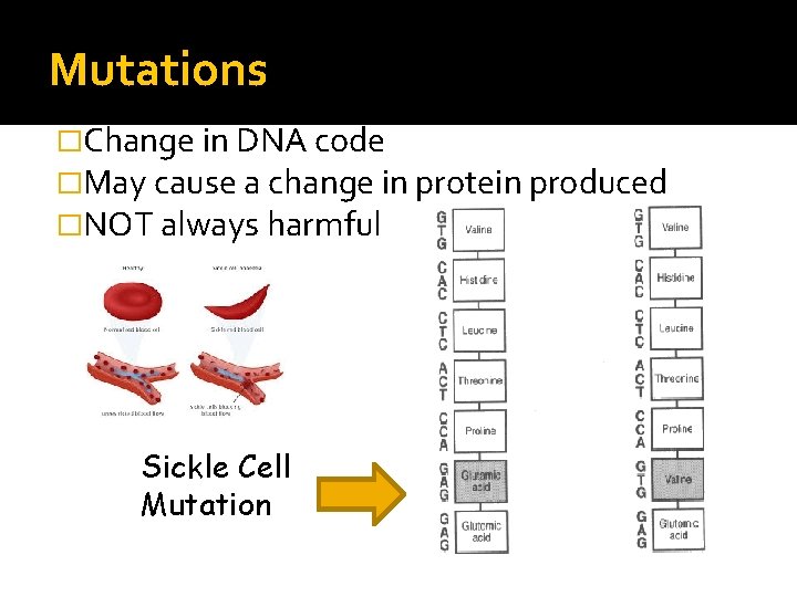 Mutations �Change in DNA code �May cause a change in protein produced �NOT always