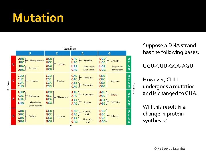 Mutation Suppose a DNA strand has the following bases: UGU-CUU-GCA-AGU However, CUU undergoes a