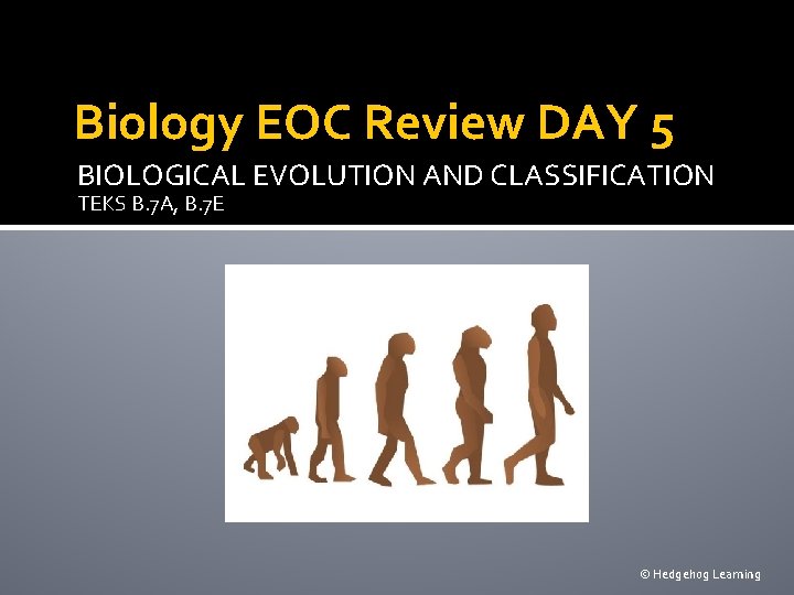 Biology EOC Review DAY 5 BIOLOGICAL EVOLUTION AND CLASSIFICATION TEKS B. 7 A, B.