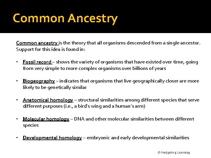 Common Ancestry Common ancestry is theory that all organisms descended from a single ancestor.