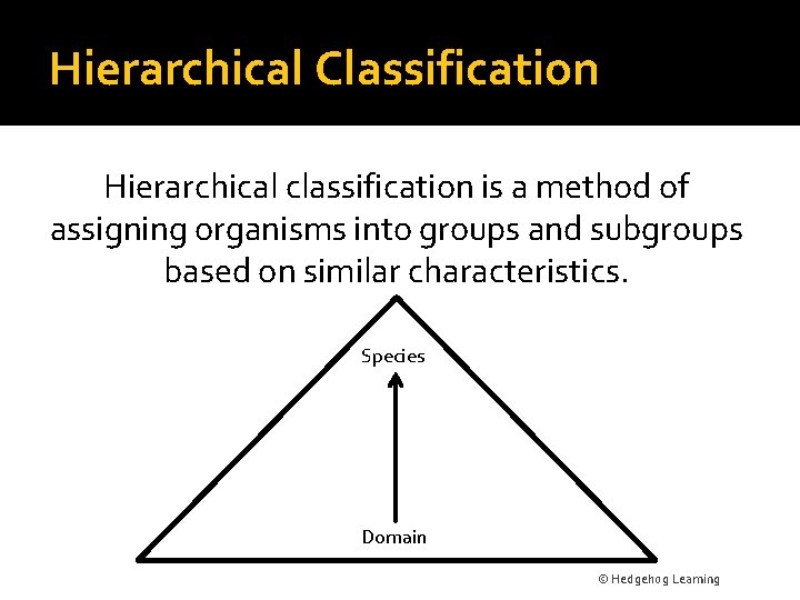 Hierarchical Classification Hierarchical classification is a method of assigning organisms into groups and subgroups