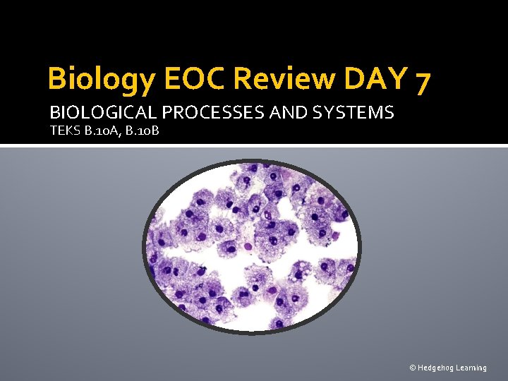 Biology EOC Review DAY 7 BIOLOGICAL PROCESSES AND SYSTEMS TEKS B. 10 A, B.