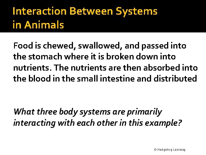 Interaction Between Systems in Animals Food is chewed, swallowed, and passed into the stomach