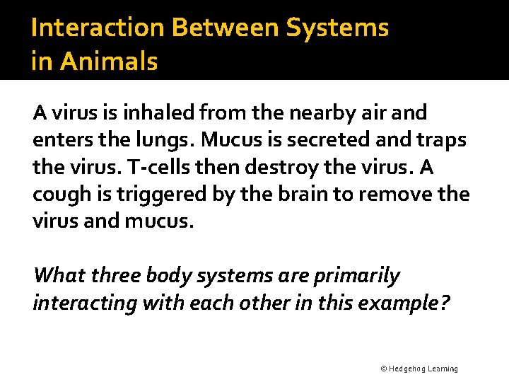 Interaction Between Systems in Animals A virus is inhaled from the nearby air and