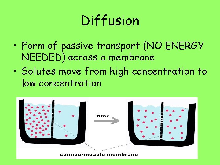 Diffusion • Form of passive transport (NO ENERGY NEEDED) across a membrane • Solutes