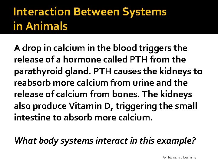 Interaction Between Systems in Animals A drop in calcium in the blood triggers the