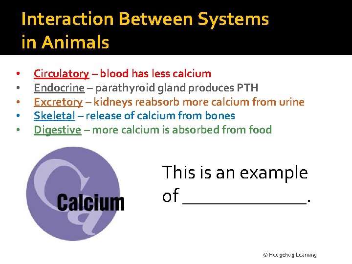 Interaction Between Systems in Animals • • • Circulatory – blood has less calcium