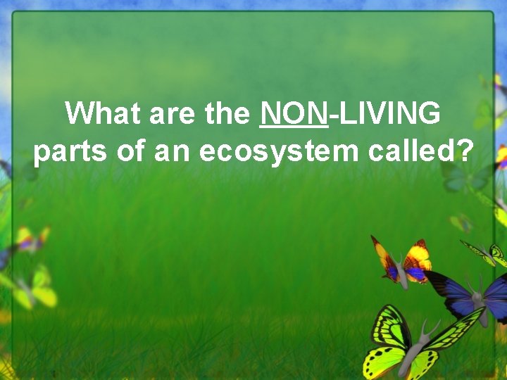 What are the NON-LIVING parts of an ecosystem called? 