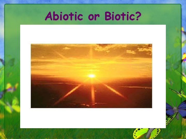 Abiotic or Biotic? 