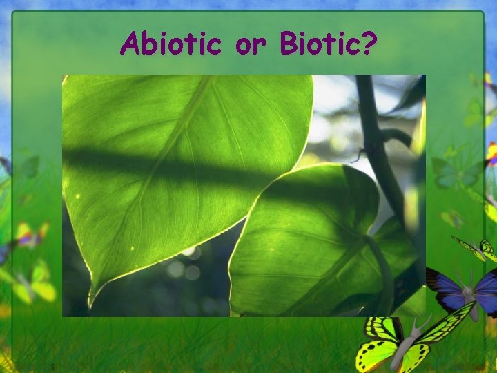 Abiotic or Biotic? 