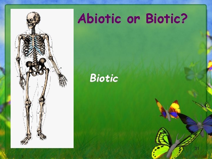Abiotic or Biotic? Biotic 31 