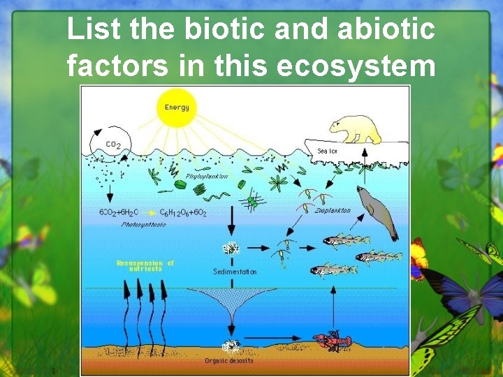 List the biotic and abiotic factors in this ecosystem 