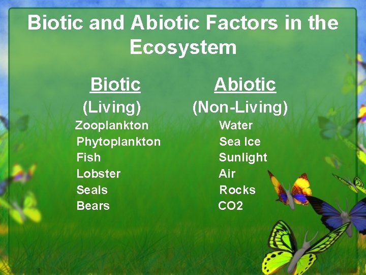 Biotic and Abiotic Factors in the Ecosystem Biotic (Living) Zooplankton Phytoplankton Fish Lobster Seals