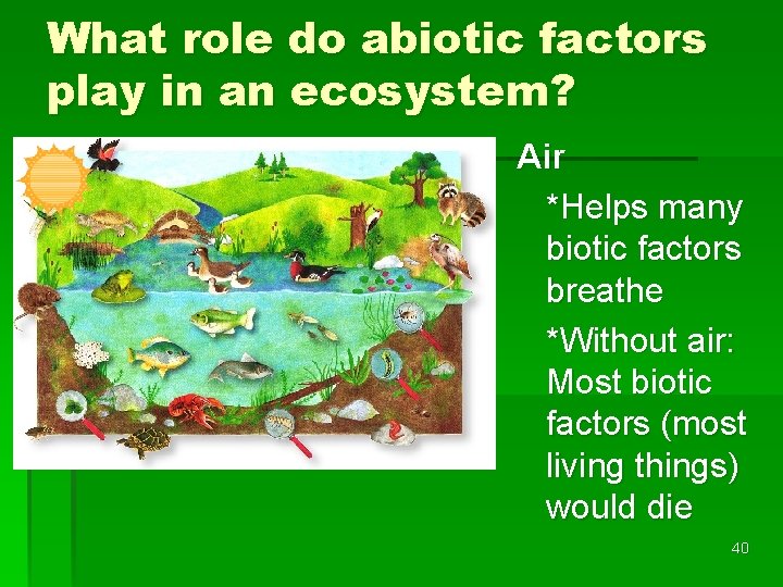 What role do abiotic factors play in an ecosystem? Air *Helps many biotic factors