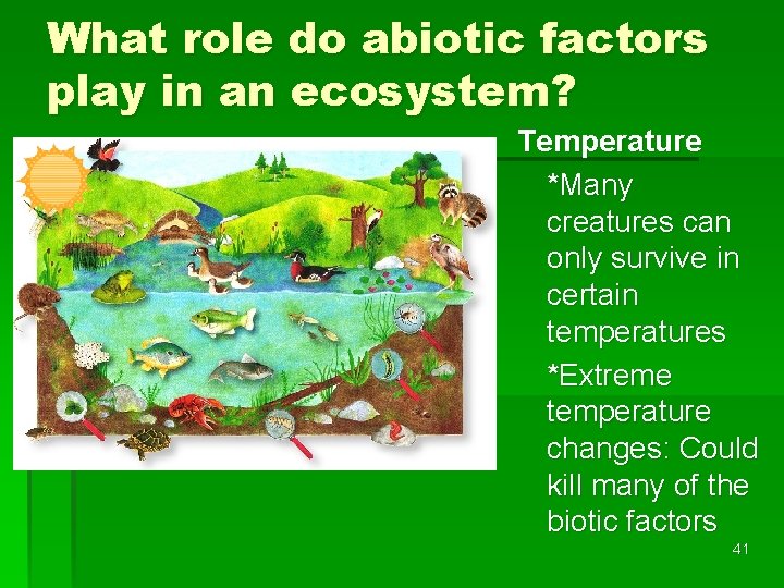 What role do abiotic factors play in an ecosystem? Temperature *Many creatures can only