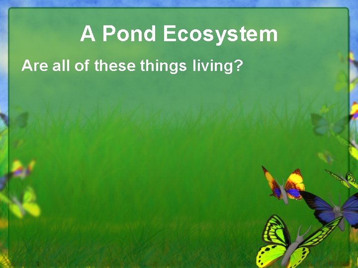 A Pond Ecosystem Are all of these things living? 