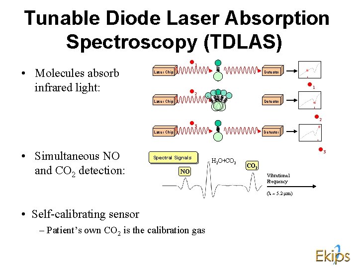 Exhaled Breath Measured using Tunable Diode Laser Absorption