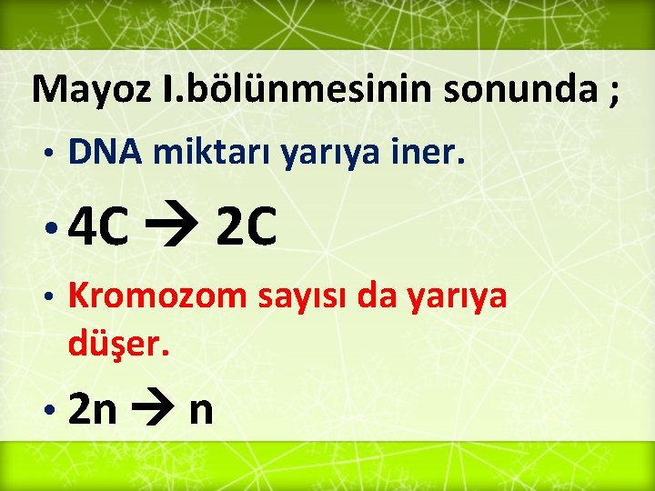 Mayoz I. bölünmesinin sonunda ; • DNA miktarı yarıya iner. • 4 C 2