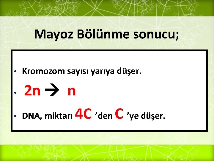 Mayoz Bölünme sonucu; • • • Kromozom sayısı yarıya düşer. 2 n n DNA,