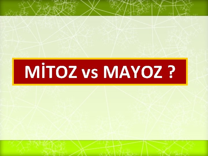 MİTOZ vs MAYOZ ? 