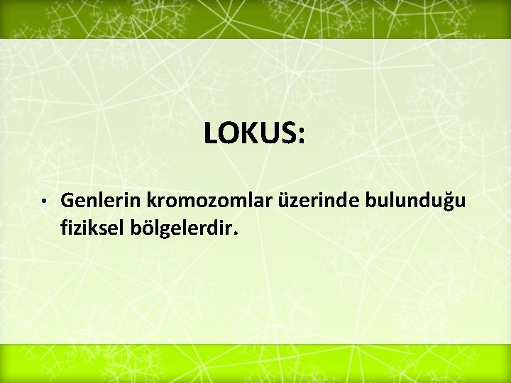 LOKUS: • Genlerin kromozomlar üzerinde bulunduğu fiziksel bölgelerdir. 