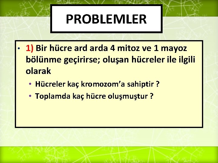 PROBLEMLER • 1) Bir hücre arda 4 mitoz ve 1 mayoz bölünme geçirirse; oluşan