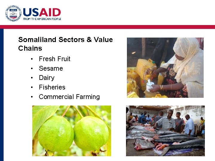 Somaliland Sectors & Value Chains • • • Fresh Fruit Sesame Dairy Fisheries Commercial