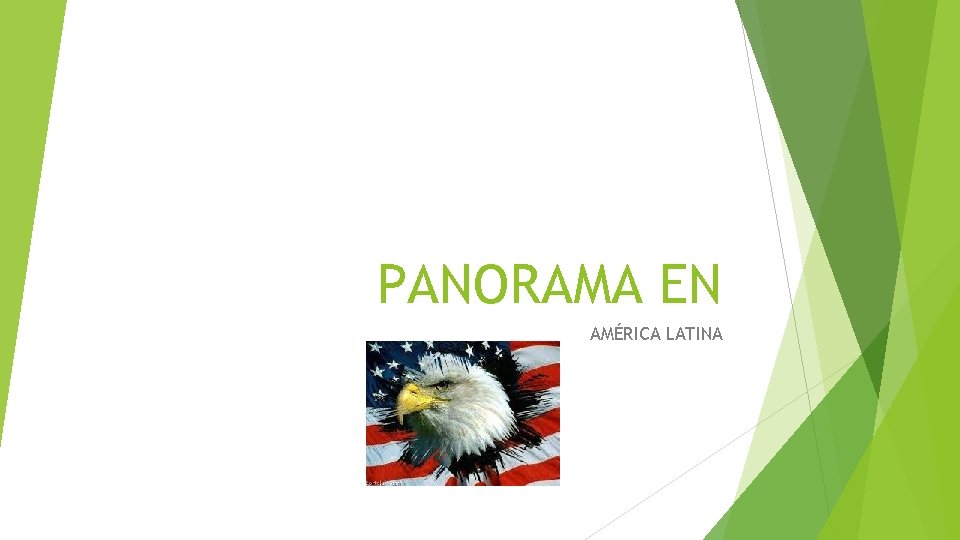 PANORAMA EN AMÉRICA LATINA 