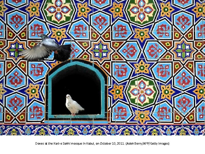 Doves at the Kart-e Sakhi mosque in Kabul, on October 10, 2011. (Adek Berry/AFP/Getty