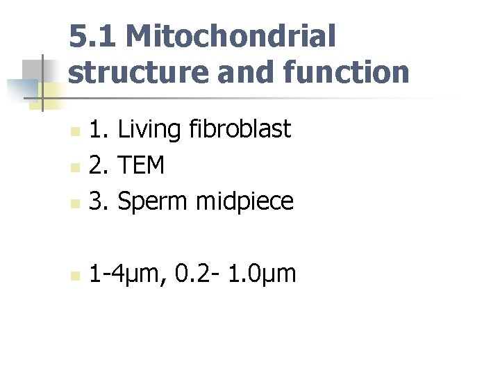 5. 1 Mitochondrial structure and function 1. Living fibroblast n 2. TEM n 3.