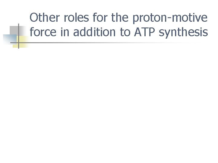 Other roles for the proton-motive force in addition to ATP synthesis 