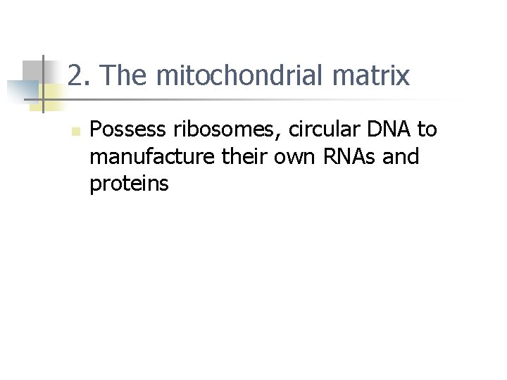 2. The mitochondrial matrix n Possess ribosomes, circular DNA to manufacture their own RNAs