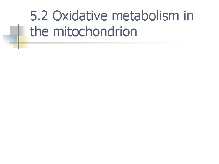5. 2 Oxidative metabolism in the mitochondrion 