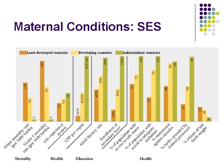 Maternal Conditions: SES 