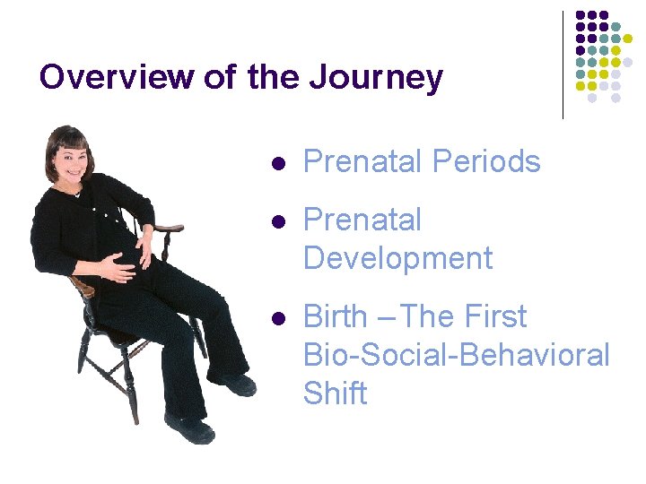 Overview of the Journey l Prenatal Periods l Prenatal Development l Birth – The