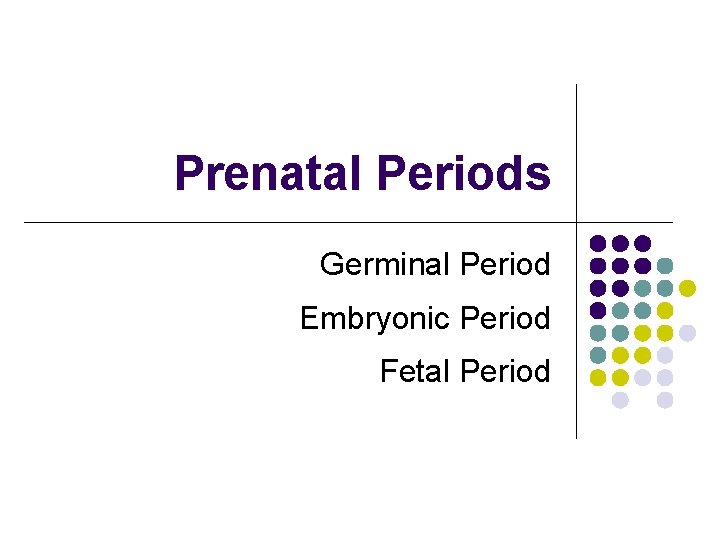 Prenatal Periods Germinal Period Embryonic Period Fetal Period 