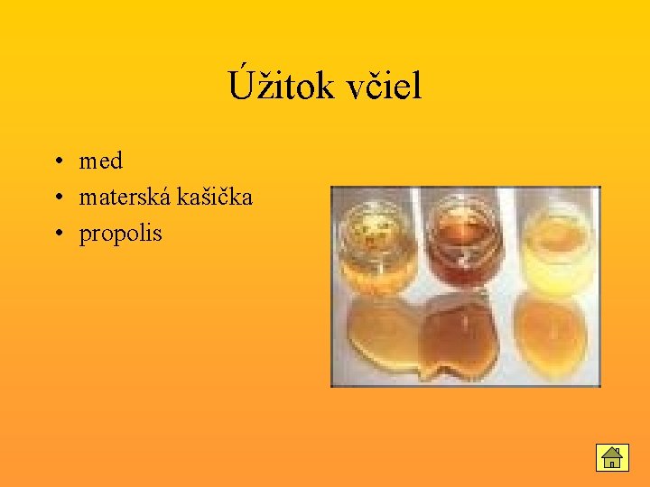 Úžitok včiel • med • materská kašička • propolis 