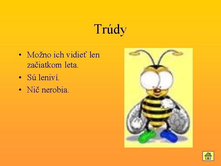 Trúdy • Možno ich vidieť len začiatkom leta. • Sú leniví. • Nič nerobia.