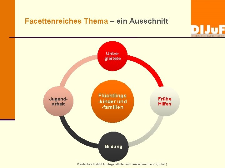 Facettenreiches Thema – ein Ausschnitt Unbegleitete Jugendarbeit Flüchtlings -kinder und -familien Frühe Hilfen Bildung