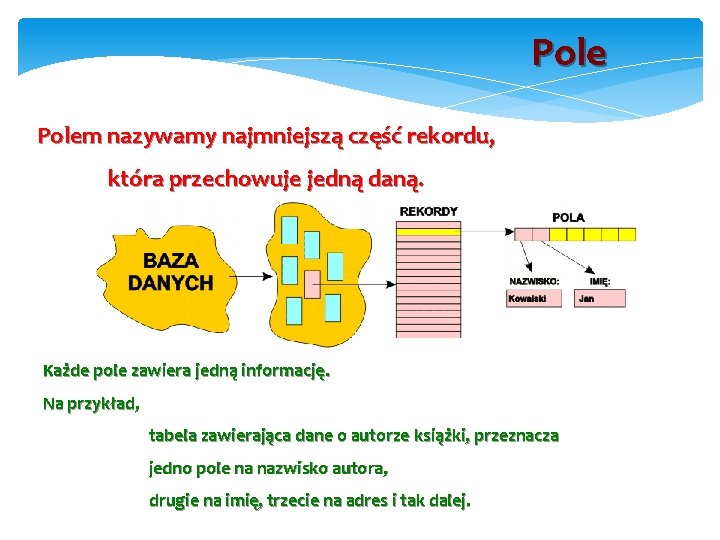 Polem nazywamy najmniejszą część rekordu, która przechowuje jedną daną. Każde pole zawiera jedną informację.