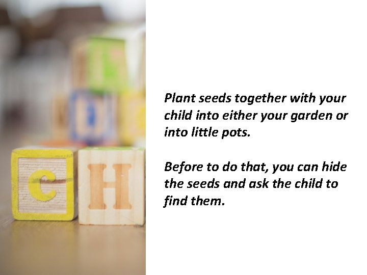 Plant seeds together with your child into either your garden or into little pots.