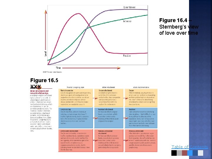 Figure 16. 4 – Sternberg’s view of love over time Figure 16. 5 XXX