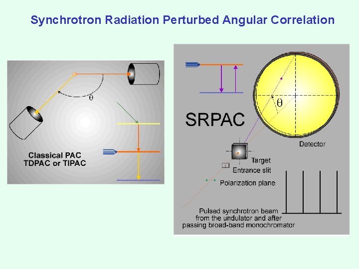 Synchrotron Radiation Perturbed Angular Correlation 