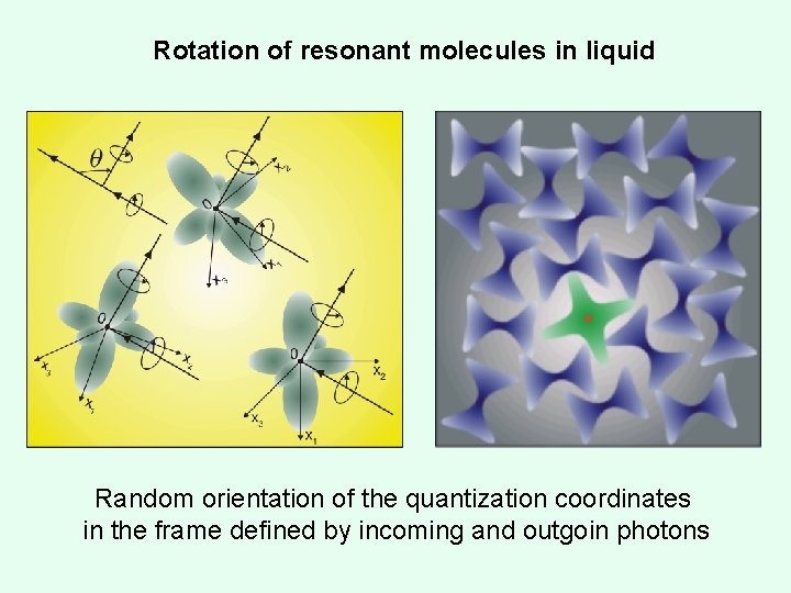 Rotation of resonant molecules in liquid Random orientation of the quantization coordinates in the