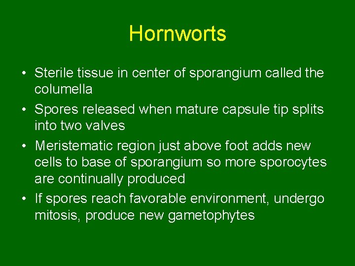Hornworts • Sterile tissue in center of sporangium called the columella • Spores released