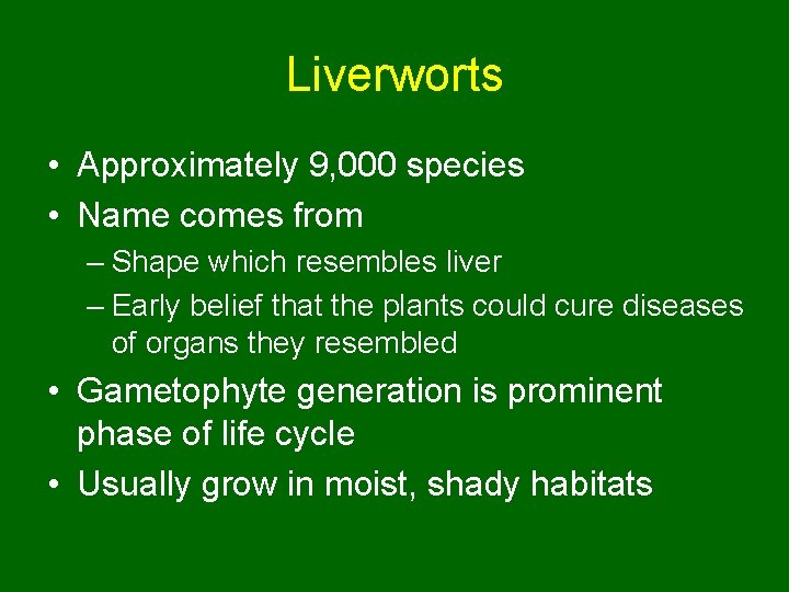 Liverworts • Approximately 9, 000 species • Name comes from – Shape which resembles