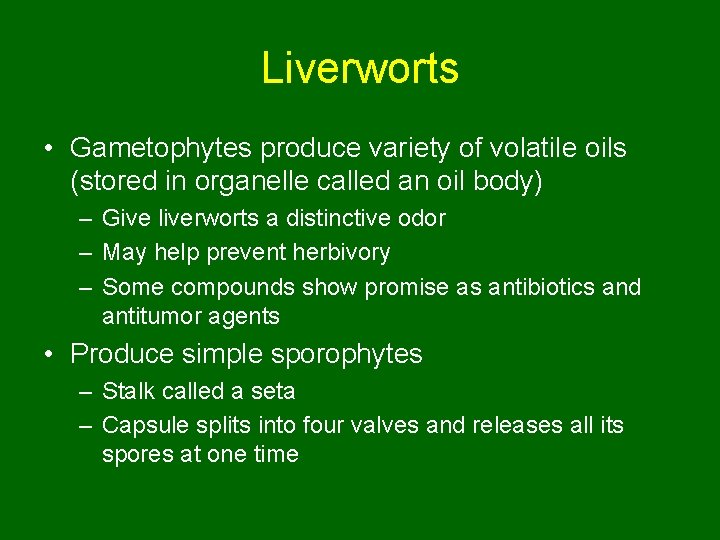 Liverworts • Gametophytes produce variety of volatile oils (stored in organelle called an oil