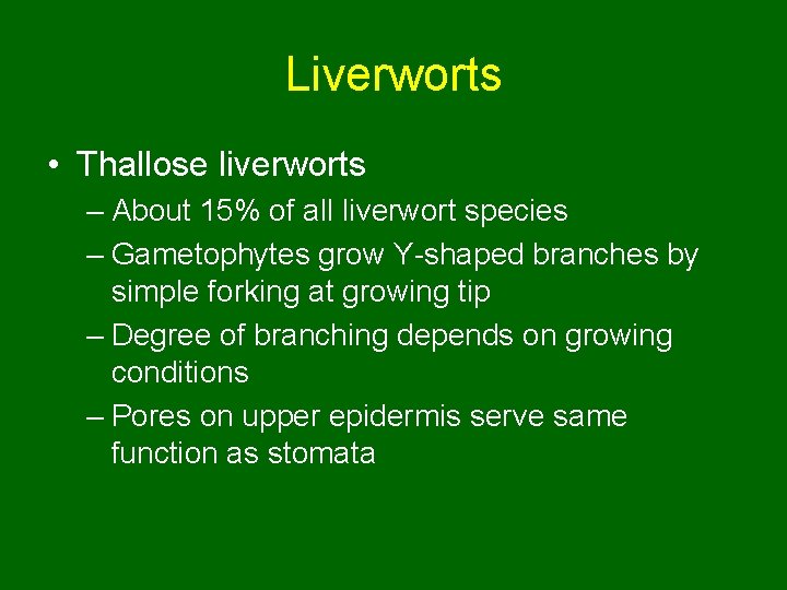 Liverworts • Thallose liverworts – About 15% of all liverwort species – Gametophytes grow