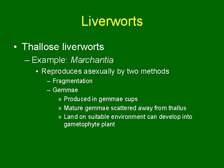Liverworts • Thallose liverworts – Example: Marchantia • Reproduces asexually by two methods –